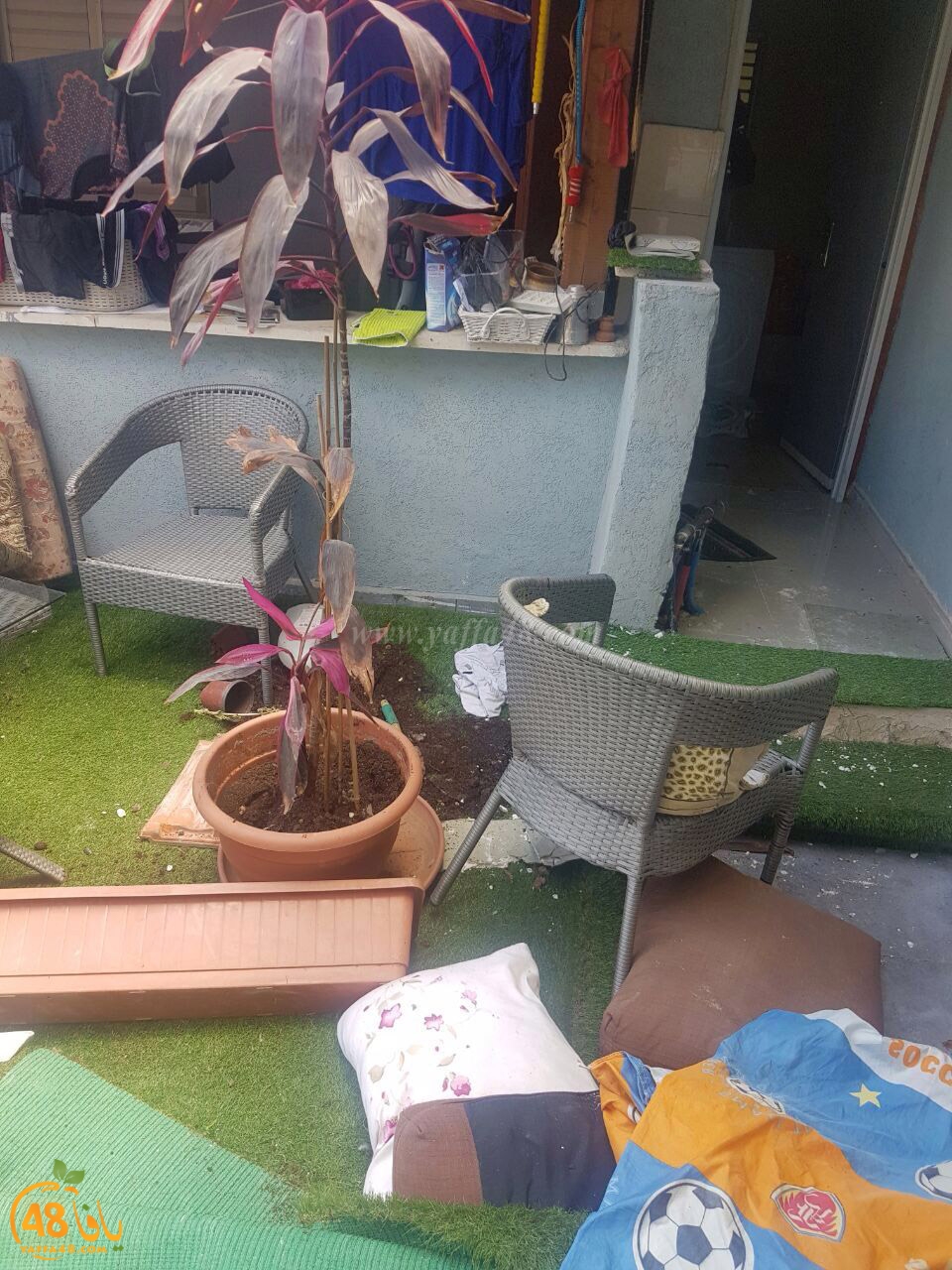 taftish ramlaasj (5).jpg